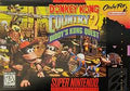 Donkey Kong Country 2